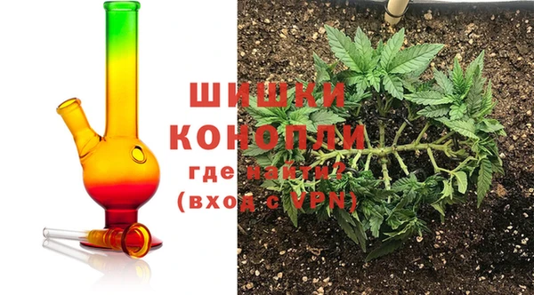 прущие грибы Верея