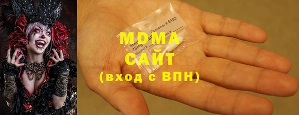 прущие грибы Верея
