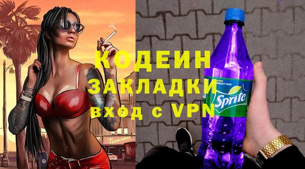прущие грибы Верея