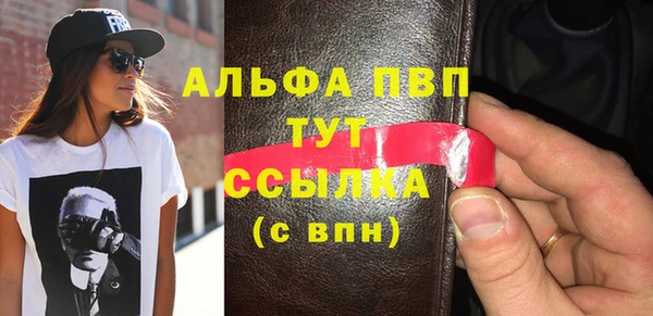 прущие грибы Верея