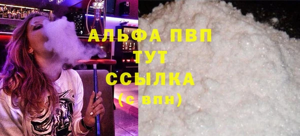 прущие грибы Верея